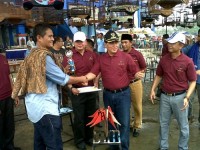 HUT Rohul ke 16, Pemkab Rohul Gelar Lomba Kicau Mania Tingkat Nasional Perebutakan Hadiah Rp100 Juta