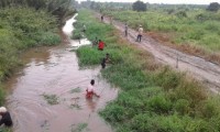 Babinsa Koramil 07/Reteh Melaksanakan Pendampingan  Penanaman Padi