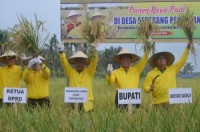 Bupati Wardan Optimis Inhil Akan Kembali Jadi Lumbung Padi di Riau