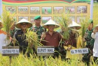 Panen Raya di Kempas, Bupati: Kedepan, Inhil Harus Jadi Pemasok Terbanyak di Provinsi Riau