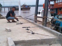 Bagi Anda yang Hoby Mancing, Bisa Merasakan Sensasi Strike di Desa Kuala Gaung
