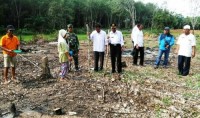 Babinsa Dampingi Petani Tanam Jagung Hibrida Seluas 11 Hektar